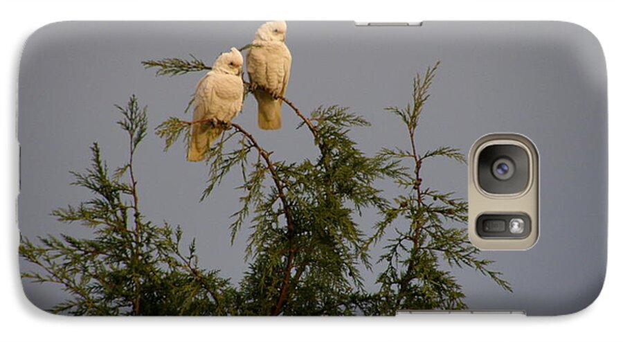 Cockatoo Galaxy S7 Case featuring the photograph Twin Cockatoos by Bev Conover