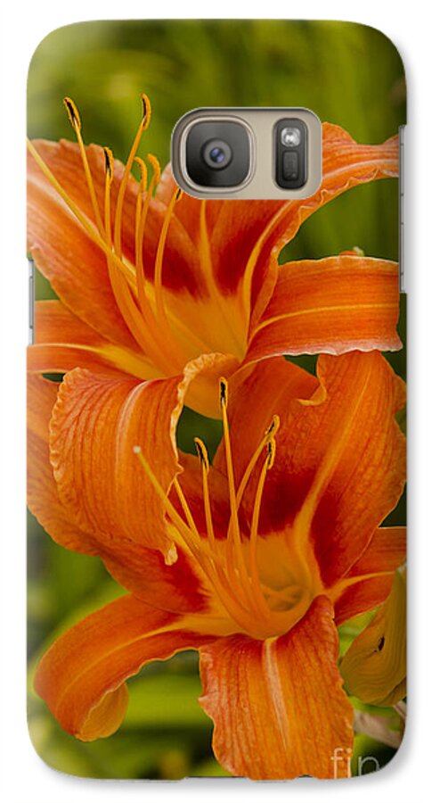 Lily Galaxy S7 Case featuring the photograph Twin Orange Trumpet Lilies by Mary Jane Armstrong