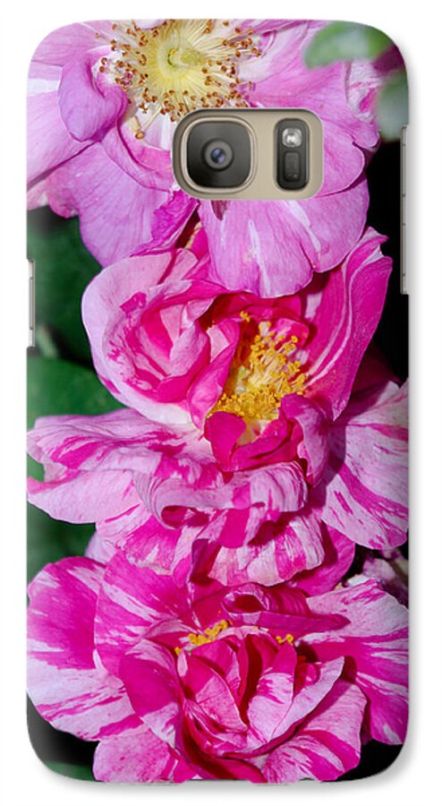 Variegated Roses Galaxy S7 Case featuring the photograph Variegated Roses by Adria Trail