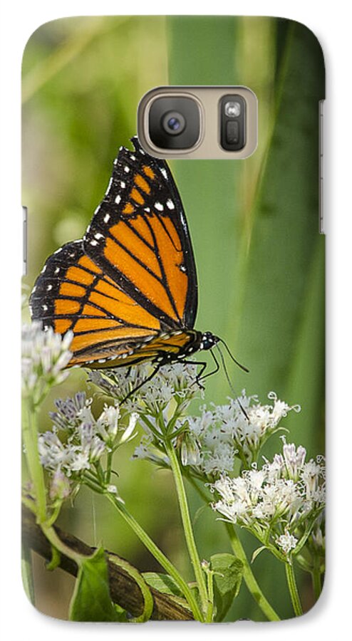 Nature Galaxy S7 Case featuring the photograph Viceroy 2 by Bradley Clay