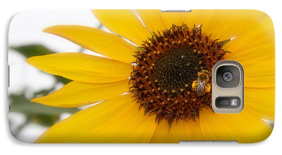Sunflower Photograph Galaxy S7 Case featuring the photograph Vivid Sunflower with Bee Fine Art Nature Photography by Jerry Cowart