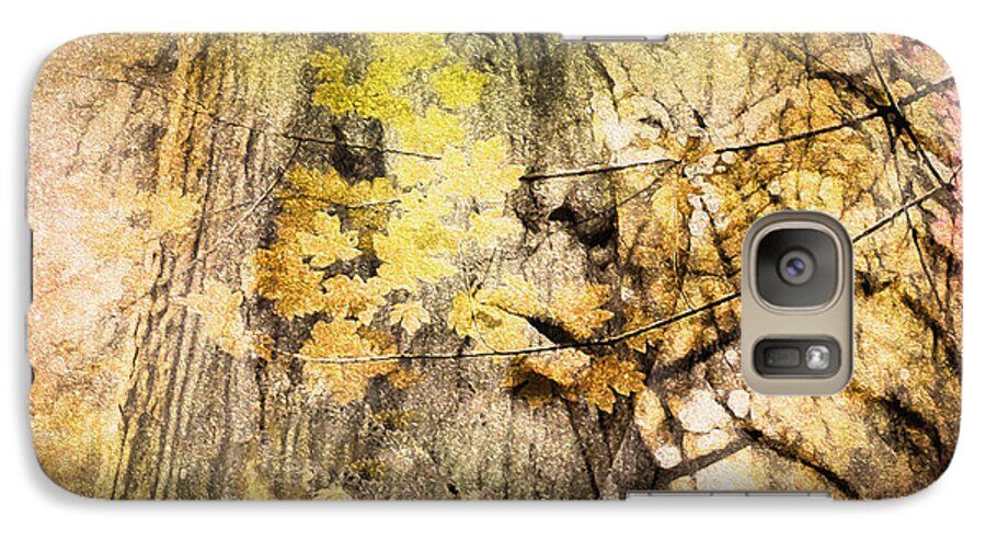 Tree Galaxy S7 Case featuring the photograph Her Forest by Kathy Bassett