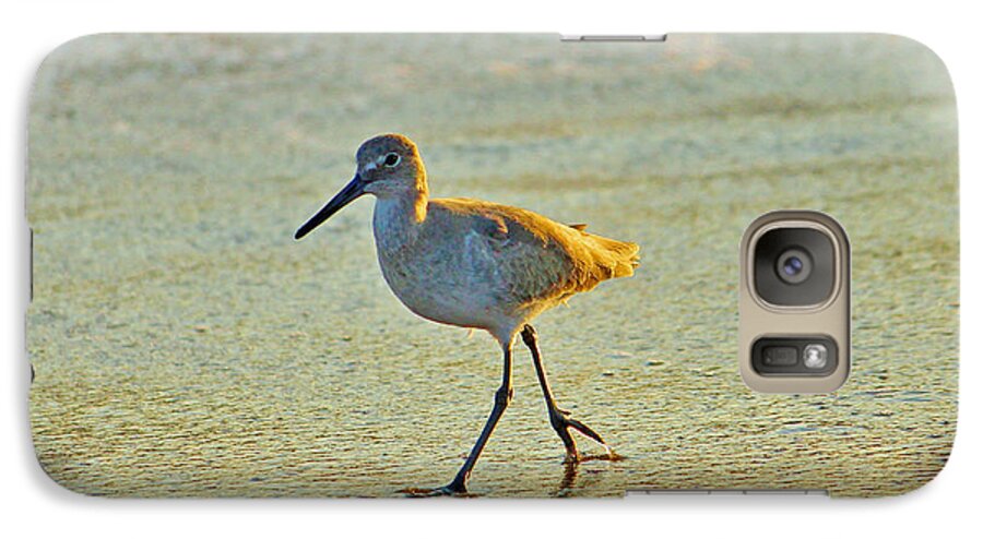 Bird Galaxy S7 Case featuring the photograph Walk On The Beach by Cynthia Guinn