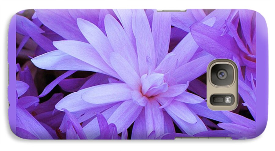 Water Lily Crocus Galaxy S7 Case featuring the photograph Waterlily Crocus by Michele Penner