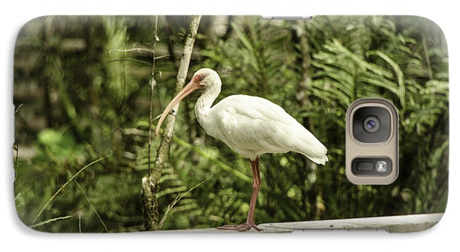 Animal Galaxy S7 Case featuring the photograph White Ibis by Mary Carol Story