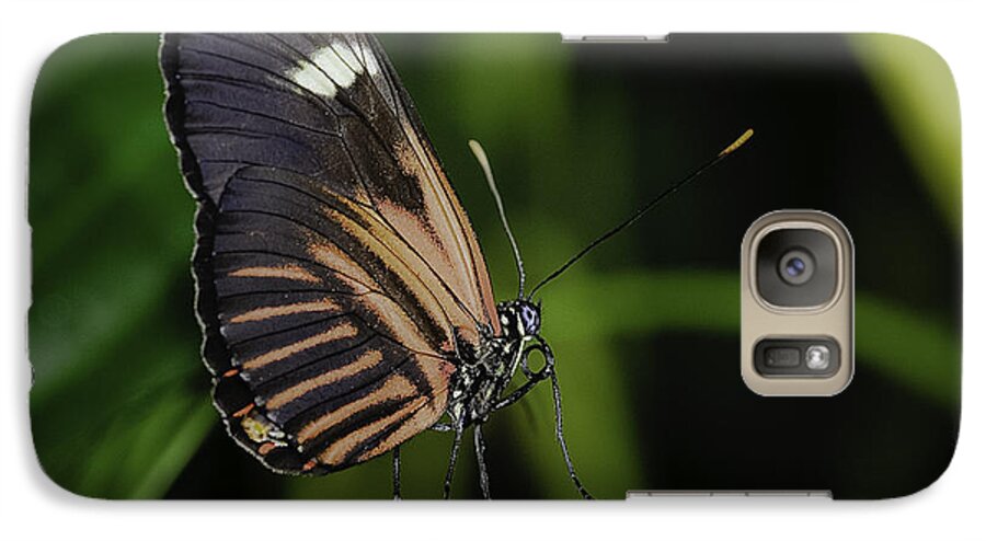 Butterflies Galaxy S7 Case featuring the photograph White on Black by Donald Brown