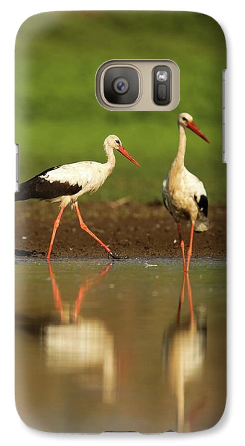 Adult Galaxy S7 Case featuring the photograph White Stork (ciconia Ciconia) by Photostock-israel