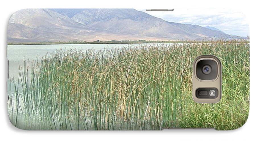 Sierra Galaxy S7 Case featuring the photograph Wild Grass by Marilyn Diaz