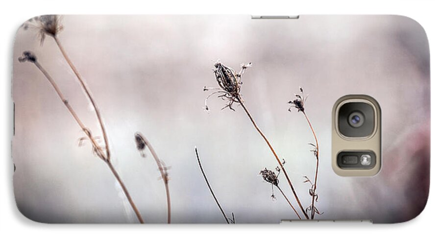 Country Galaxy S7 Case featuring the photograph Winter Wild Flowers by Sennie Pierson