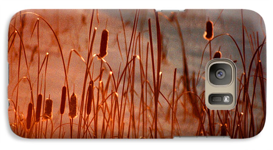 Landscape Paintings Galaxy S7 Case featuring the photograph Winter's Glow by R Thomas Brass