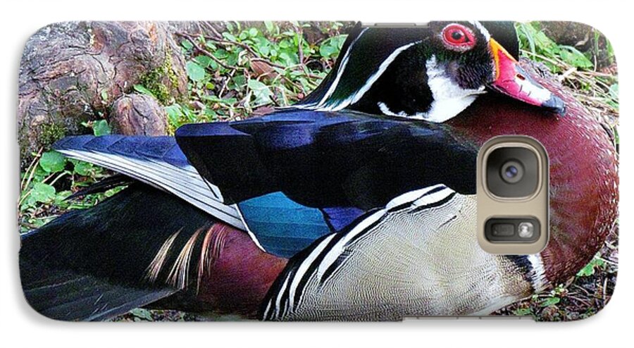 Duck Galaxy S7 Case featuring the photograph Wood Duck by Cynthia Guinn