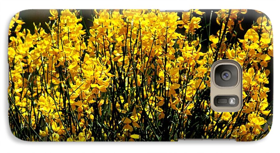 Flowers Galaxy S7 Case featuring the photograph Yellow Cluster Flowers by Matt Quest