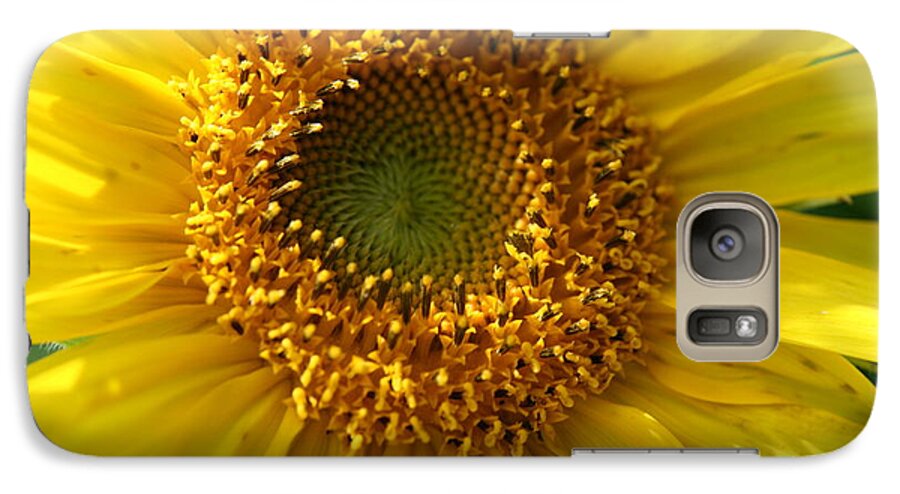 Sunflower Galaxy S7 Case featuring the photograph Yellow Sunshine by Neal Eslinger
