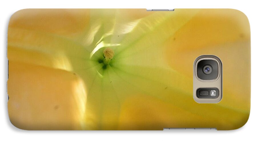 Yellow Flower Galaxy S7 Case featuring the photograph Yellow Translucent Flower by Bev Conover