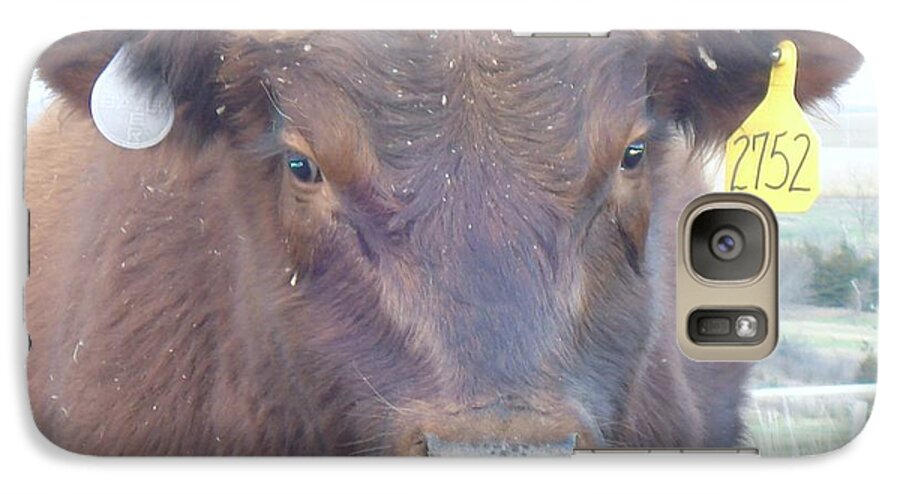 Angus Galaxy S7 Case featuring the photograph Young Angus by J L Zarek