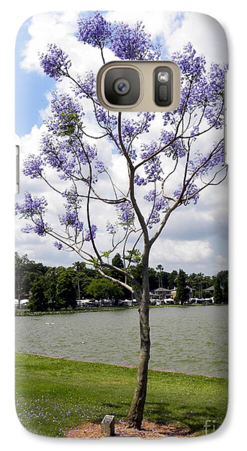 Tree Galaxy S7 Case featuring the photograph Young Jacaranda Tree by Terri Mills