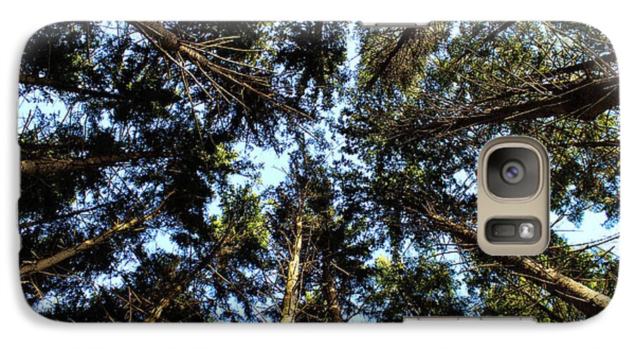 Pine Forest Galaxy S7 Case featuring the photograph Whispering Pines #1 by Rachel Cohen
