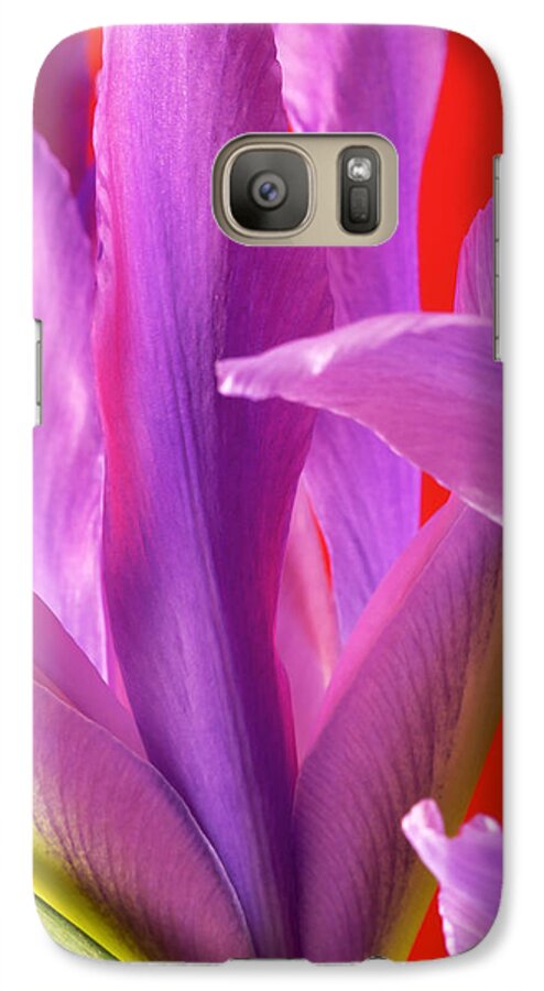 Flowers Galaxy S7 Case featuring the photograph Photograph of a Dutch Iris #4 by Perla Copernik
