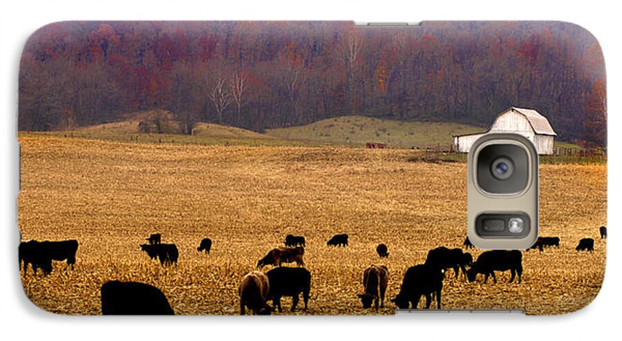Black Angus Cattle Farm Galaxy S7 Case featuring the photograph Angus and Oaks farm by Randall Branham