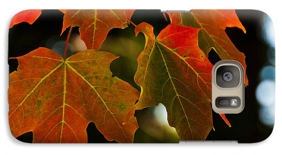 Landscape Galaxy S7 Case featuring the photograph Autumn Glory by Cheryl Baxter