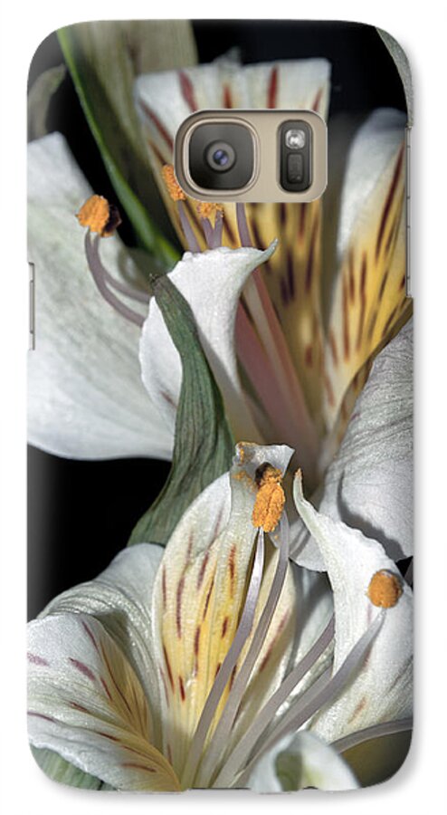 Flower Galaxy S7 Case featuring the photograph Beauty Untold by Tikvah's Hope