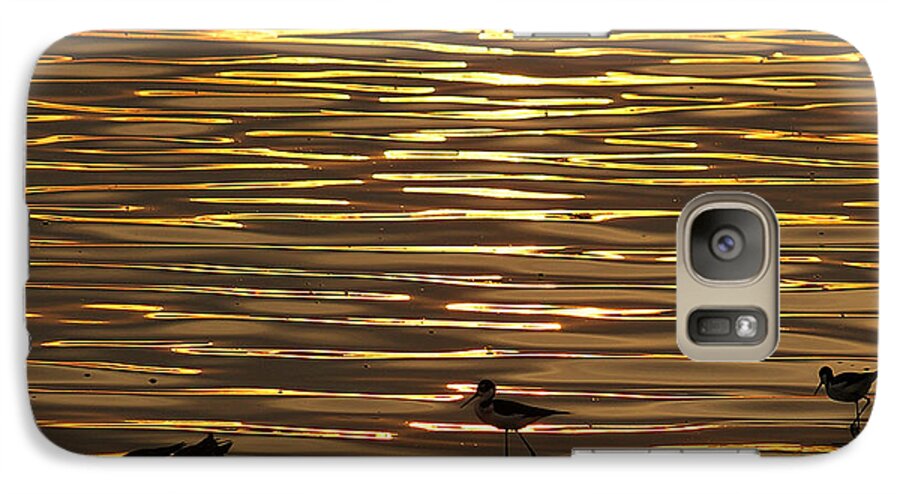 Silhouettes Galaxy S7 Case featuring the photograph Birds Walking In Gold Water Waves by John Kolenberg