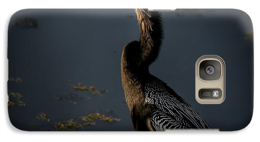 Bird Galaxy S7 Case featuring the photograph Black Light by Steven Sparks