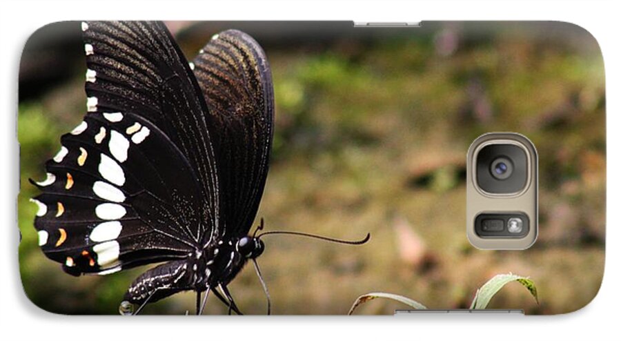 Butterfly Galaxy S7 Case featuring the photograph Butterfly Feeding by Ramabhadran Thirupattur