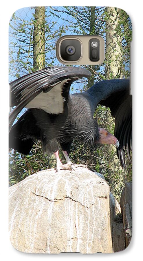 Condor Galaxy S7 Case featuring the photograph California Condor by Carla Parris