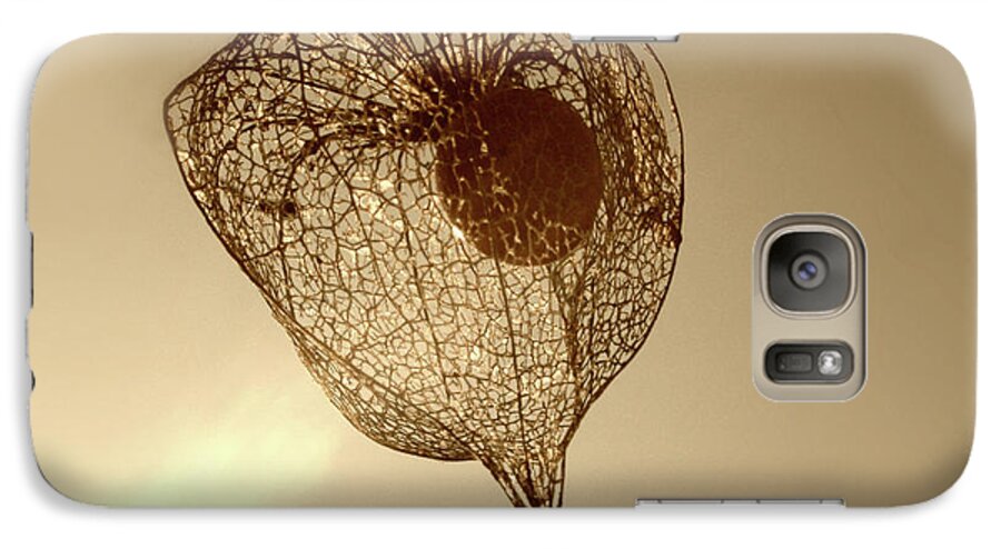 Beautiful Galaxy S7 Case featuring the photograph Cape Gooseberry by Emanuel Tanjala