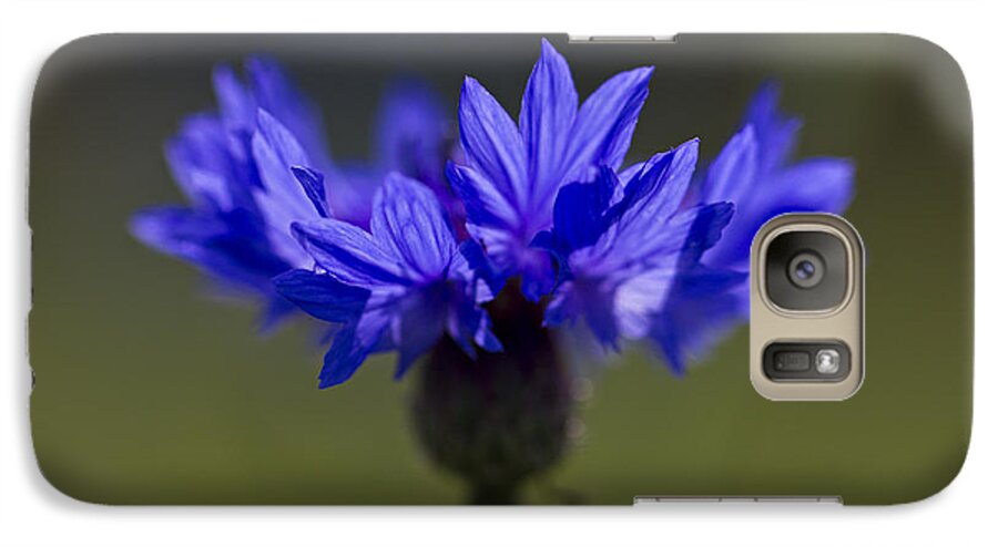Cornflower Galaxy S7 Case featuring the photograph Cornflower Blue by Clare Bambers