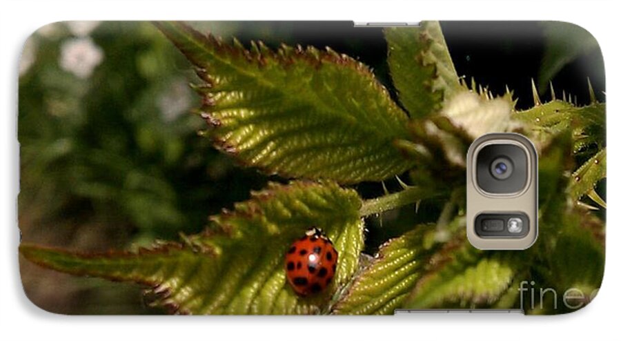 Lady Bug Galaxy S7 Case featuring the photograph Cute red ladybug by Garnett Jaeger