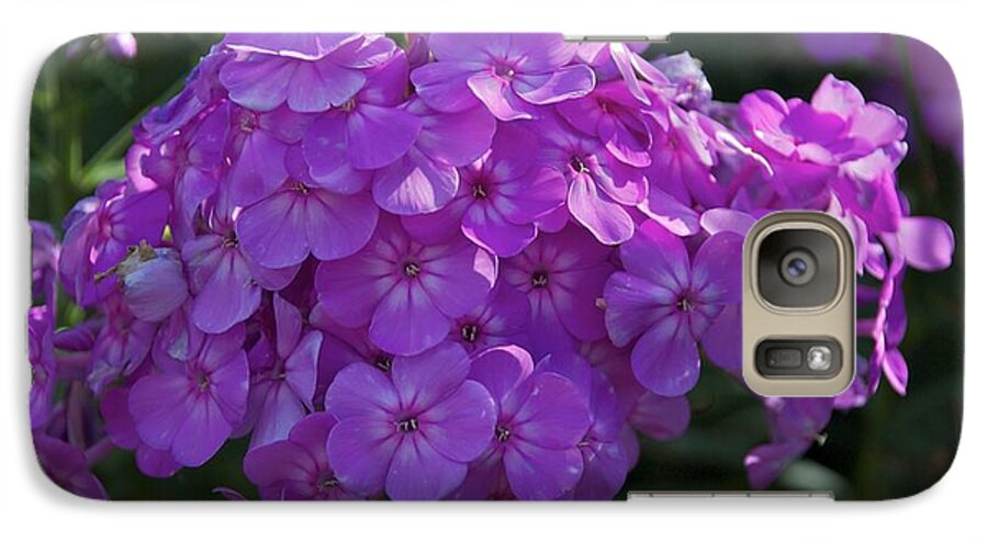 Flower Galaxy S7 Case featuring the photograph Dappled Light by Joseph Yarbrough