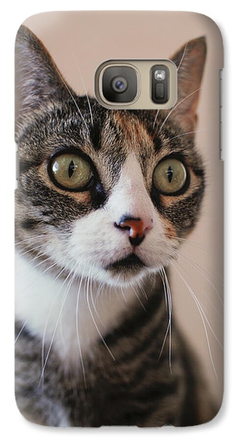 Pets Galaxy S7 Case featuring the photograph Dora by Irina ArchAngelSkaya