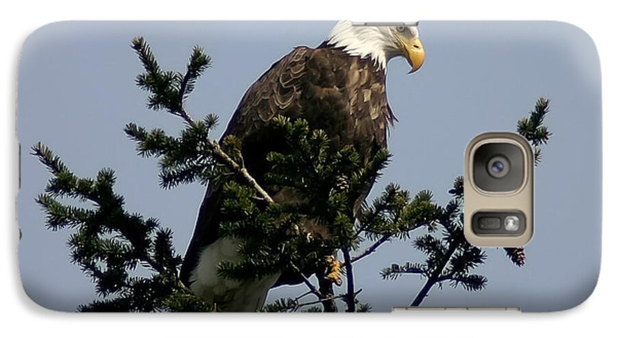  Galaxy S7 Case featuring the photograph Eagle Eye Vista by Mitch Shindelbower