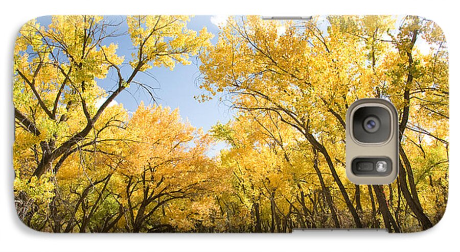 Fall Leaves Galaxy S7 Case featuring the photograph Fall Leaves in New Mexico by Shane Kelly
