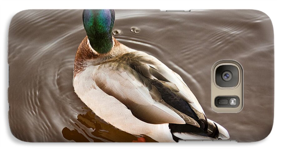 Fine Feathered Mallard Duck Photograph Galaxy S7 Case featuring the photograph Fine Feathered Mallard Duck by Ann Murphy