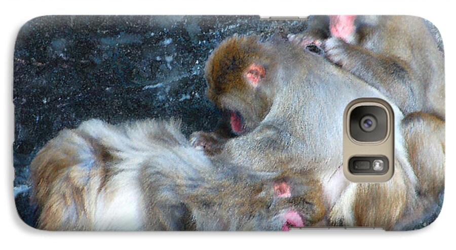 Snow Monkey Galaxy S7 Case featuring the photograph Free Buffet and Grooming by Sarah McKoy
