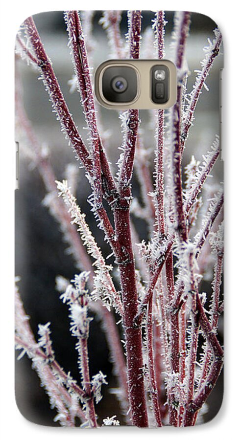 Coral Galaxy S7 Case featuring the photograph Frosty Coral Maple by Mick Anderson