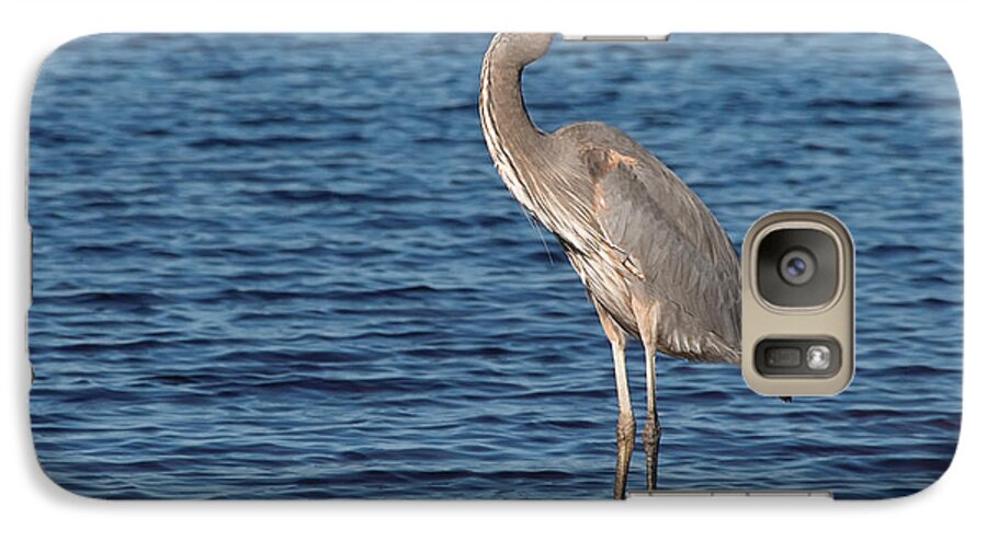 Great Blue Heron Galaxy S7 Case featuring the photograph Great Blue Heron by Art Whitton