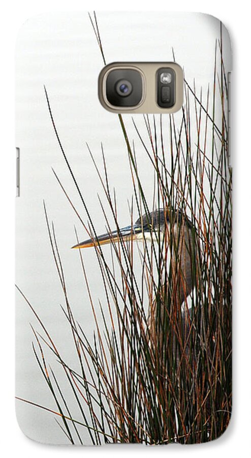 Great Blue Heron Galaxy S7 Case featuring the photograph Great Blue Heron by Kay Lovingood