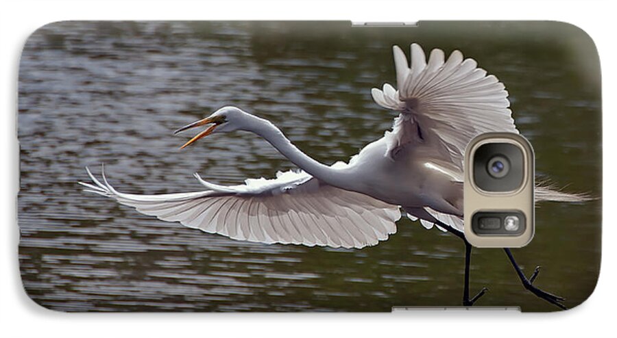Egret Galaxy S7 Case featuring the photograph Great Egret in Flight by Art Whitton