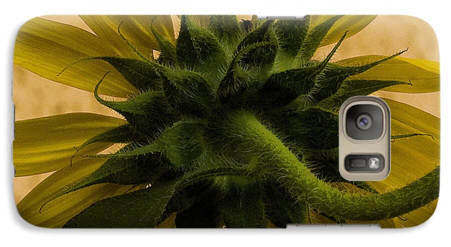 Flowers Galaxy S7 Case featuring the photograph Hidden Beauty by Michael Friedman
