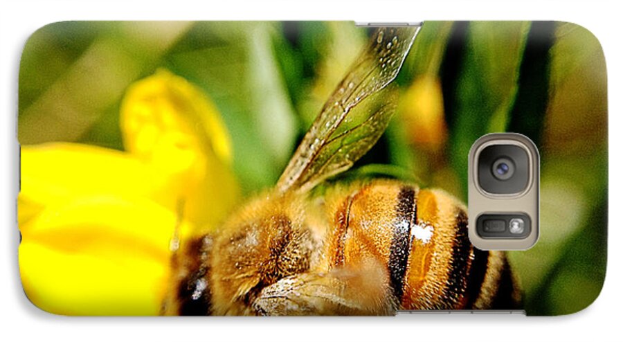 Honey Bee Galaxy S7 Case featuring the photograph Honey Bee by Chriss Pagani