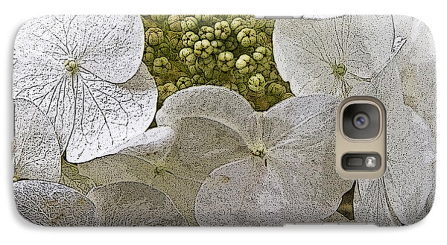Flowers Galaxy S7 Case featuring the photograph Hydrangea by Michael Friedman