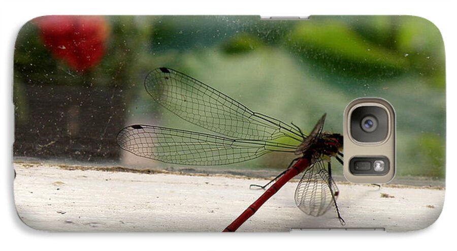 Dragonfly Galaxy S7 Case featuring the photograph It's Always Greener by Lainie Wrightson
