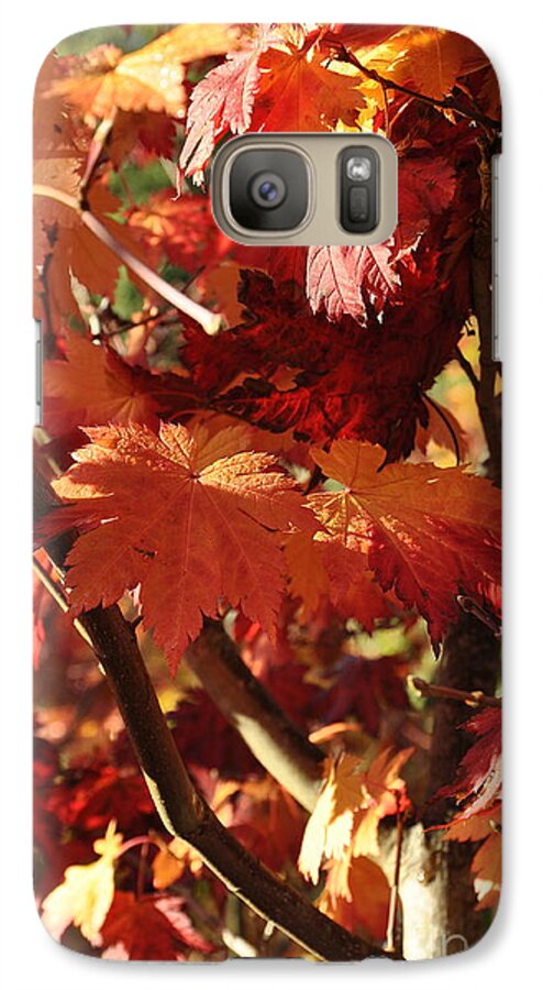 Tree Galaxy S7 Case featuring the photograph Japanese Maple 1 by Tatyana Searcy