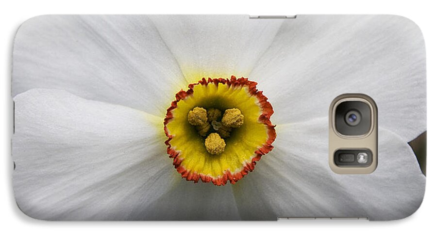 Nature Galaxy S7 Case featuring the photograph Jonquil by Michael Friedman