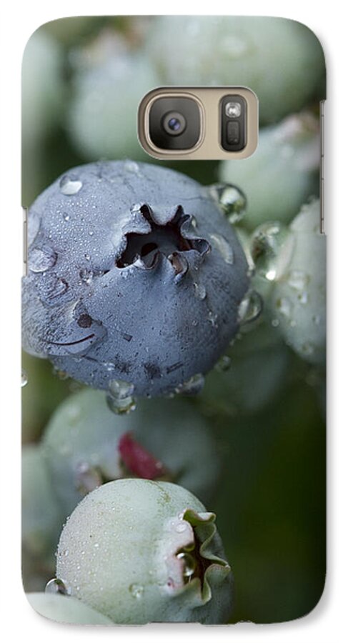 Blueberry Galaxy S7 Case featuring the photograph Just Blue by Carrie Cranwill