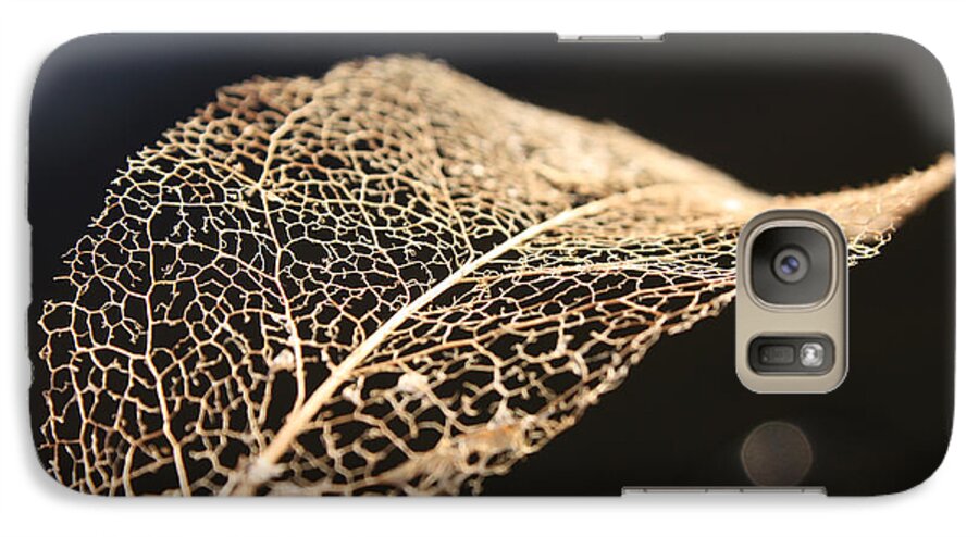 Leaf Galaxy S7 Case featuring the photograph Leaf Skeleton by Cathie Douglas